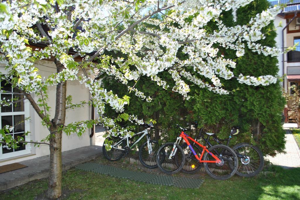 Apartament Apartament Beta Bystrzyca Zewnętrze zdjęcie